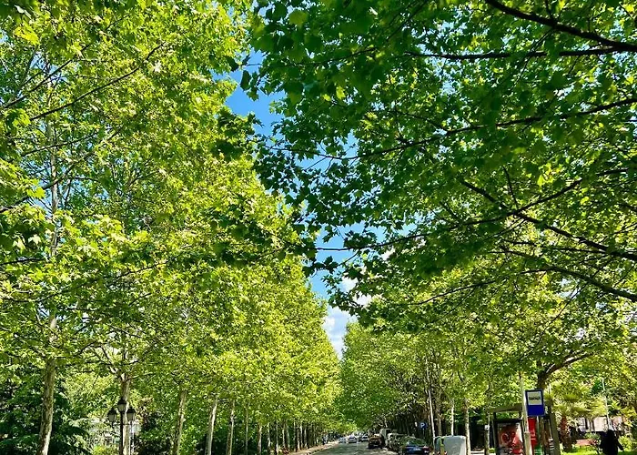 Rolling - Near Blloku